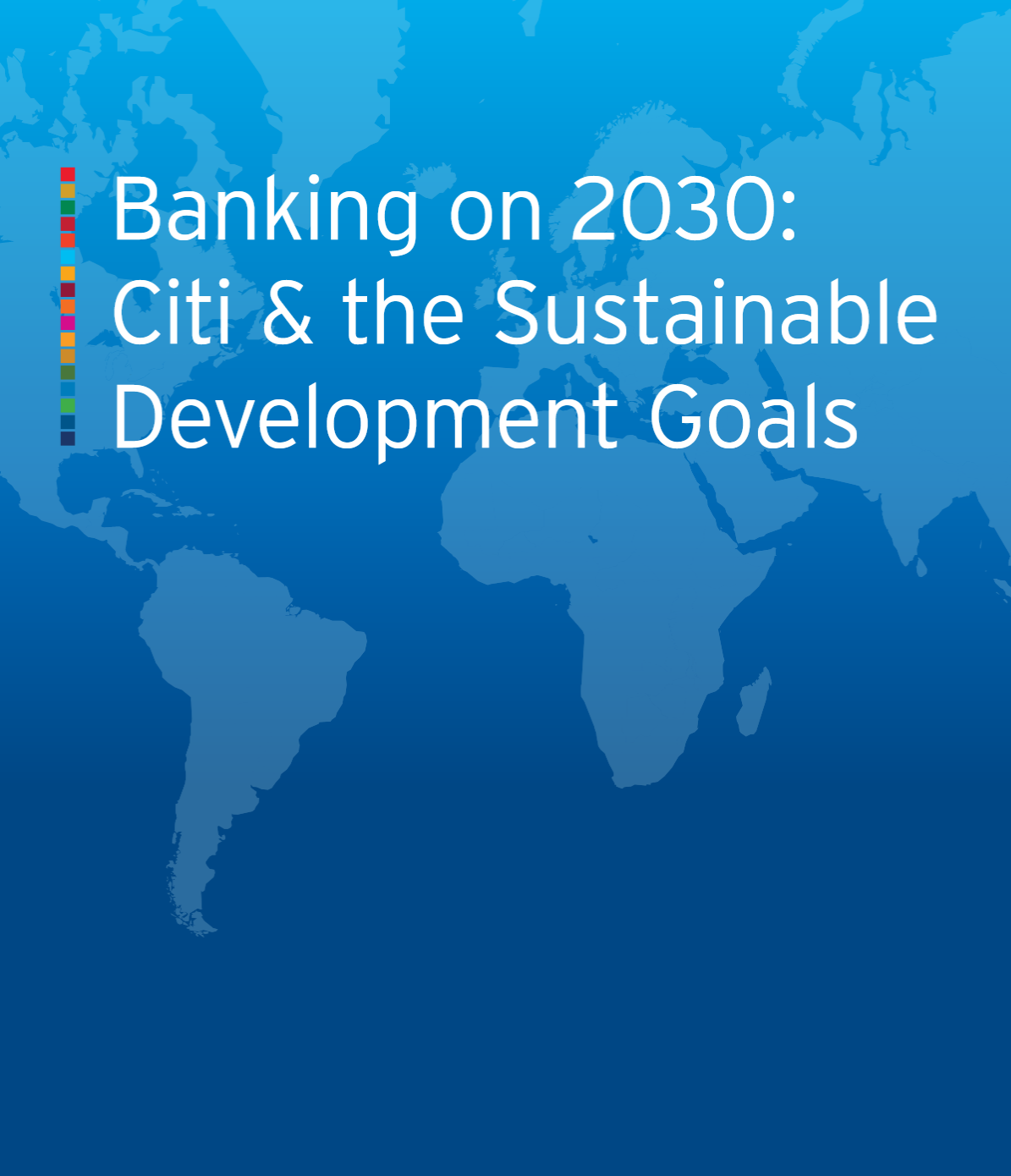 Banking on 2030: Citi & the Sustainable Development（英文のみ）